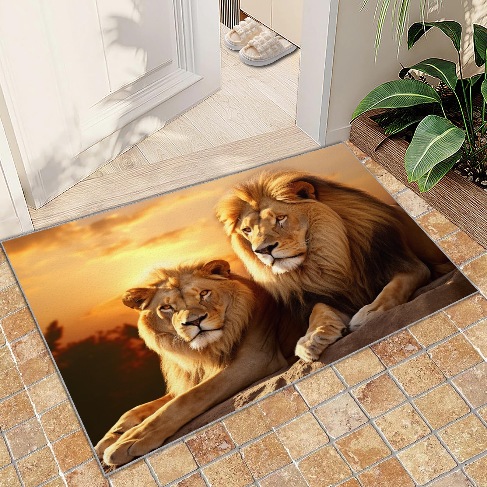 Amazon.com: RIPUEJI LionWild Lion King Area Rug 2x3 Animal Floor